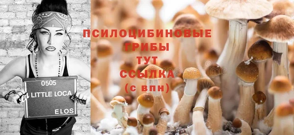 бошки Алексеевка