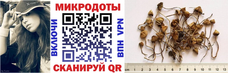 Галлюциногенные грибы Magic Shrooms  Ярцево 
