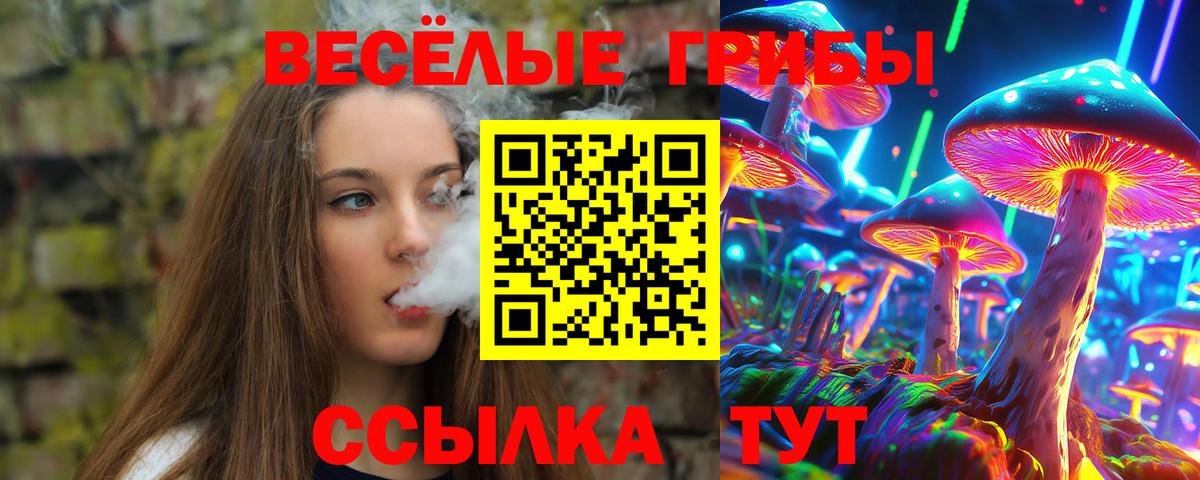 Псилоцибиновые грибы мицелий  Вход с VPN  Ярцево 